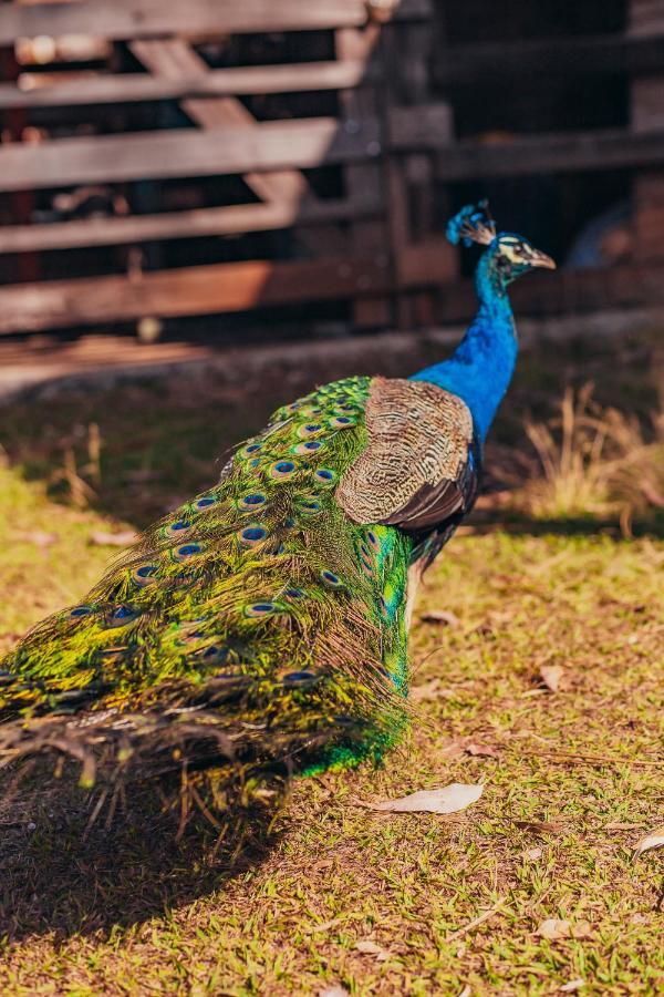 Hotel Pousada Montanhas Do Sol Sao Lourenco  Zewnętrze zdjęcie